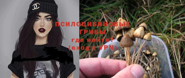 сатива Мегион