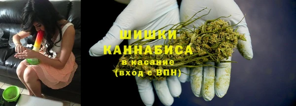 сатива Мегион