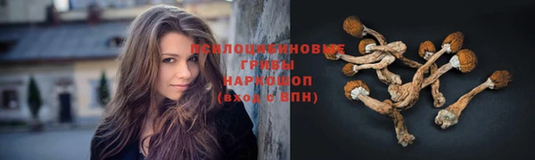 сатива Мегион