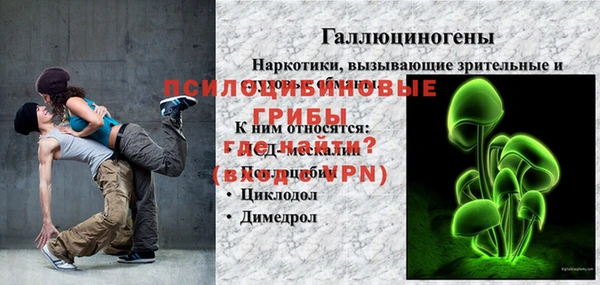 молекула духа Медногорск