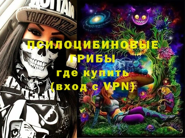 метадон Медвежьегорск