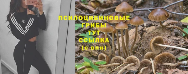 молекула духа Медногорск